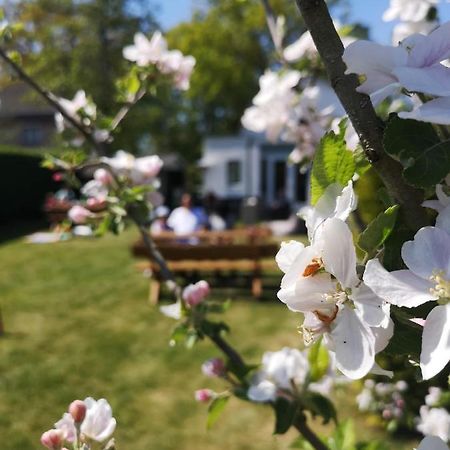 بيكبيرخين B&B De Koffietuin المظهر الخارجي الصورة